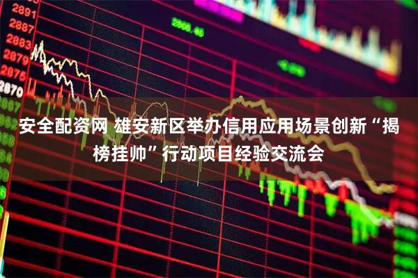 安全配资网 雄安新区举办信用应用场景创新“揭榜挂帅”行动项目经验交流会