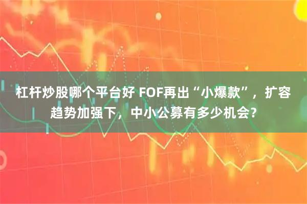 杠杆炒股哪个平台好 FOF再出“小爆款”，扩容趋势加强下，中小公募有多少机会？