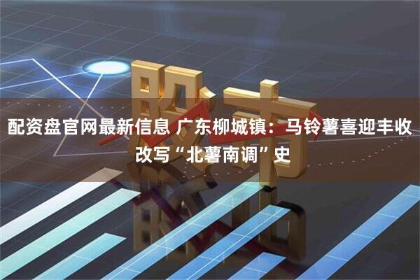 配资盘官网最新信息 广东柳城镇：马铃薯喜迎丰收 改写“北薯南调”史